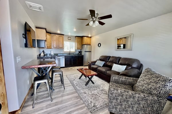Open-plan living room and kitchen with brown leather sofa, dining table, wood cabinets, stainless steel appliances, and ceiling fan.